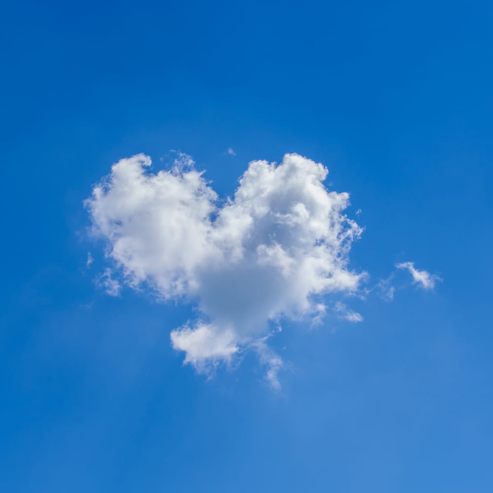 lucht cadeau Sidler Organizing